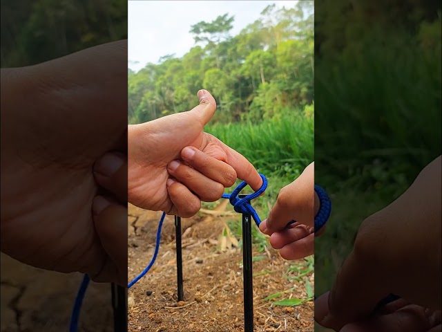 Constrictor Knot: Permanent Binding Lock 🐍🔒 #knot #rope #bushcraft #diy #tutorial