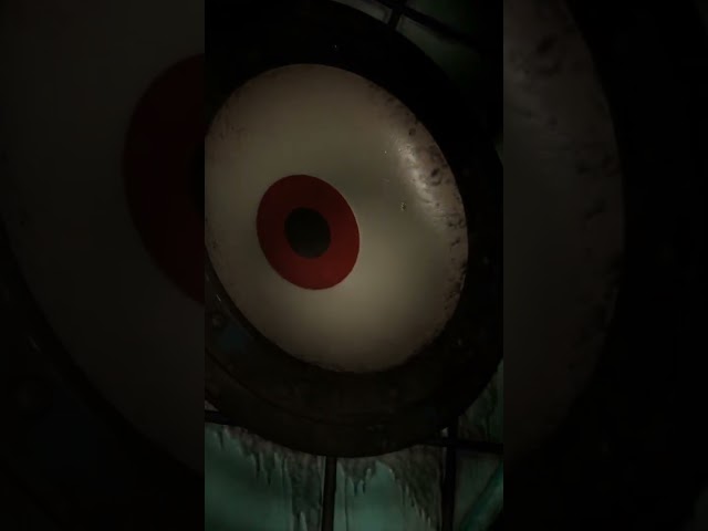 It's been waiting for me...