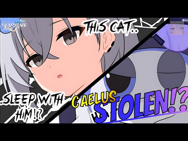 Silver Wolf Cat vs. Silver Wolf! - Honkai: Star Rail