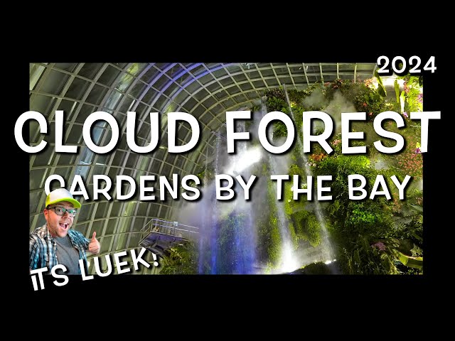 Cloud Forest at Night!  Gardens by the Bay - Singapore | It's Luek!
