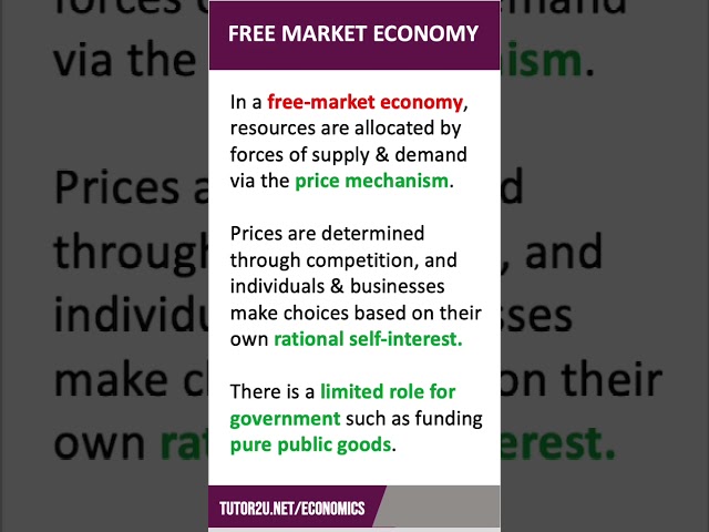 Economic Systems | 60 Second Economics | A-Level & IB