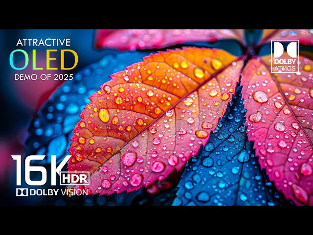 16K Video ULTRA HD - Best HDR Video Dolby Vision - Dolby Atmos