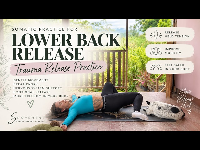 Lower Back Trauma Release | Somatic Practice to Release Stored Stress