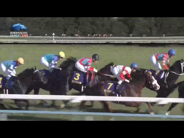 2020.10.25 Kikuka Sho (Japanese St. Leger) - Contrail