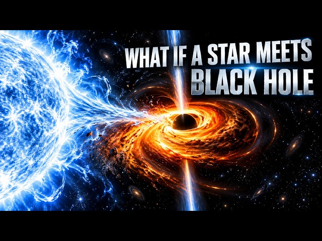 Black Holes Swallow Stars | 100 Billion Galaxies of Horror