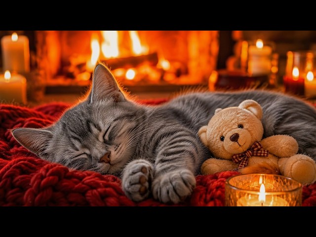 24 Hours Calming Music for Cats 🐱🎵 Relaxing Cat Music - Peaceful Sounds for Deep Sleep & Comfort
