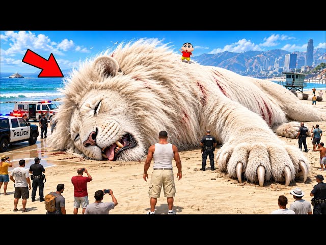 Shinchan & Franklin Found the BIGGEST GIANT TIGER in Los Santos 😱🐅 | GTA 5 Telugu