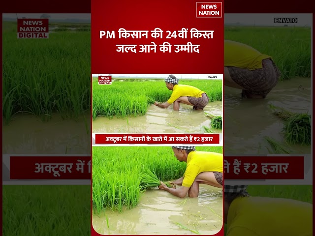 PM Kisan 24th Installment :Diwali से पहले इस Day जारी होगी PM Kisan की 24वीं किस्त !PM Modi |Farmers