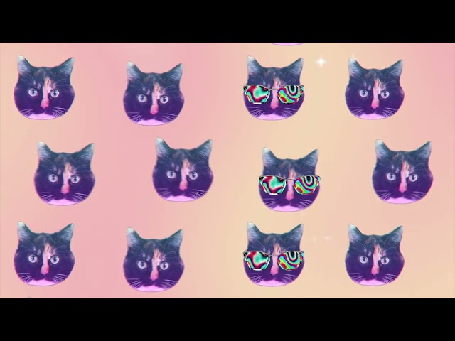 It's Time For Some Light Cat Trippiness Background Loop. CAT VJ LOOP