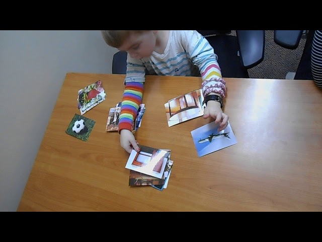Sorting Pictures into Categories: 5 year old Kindergarten