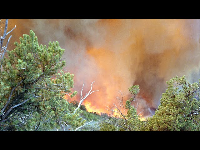 1994 South Canyon Fire on Storm King Mountain