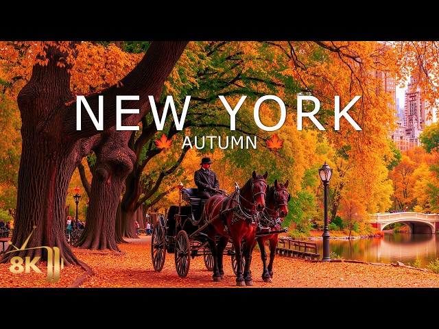 New York 8K 🍁 New York’s Fall Foliage 🍁 Adirondack Forests, Crimson Maples & Beautiful Lake Country