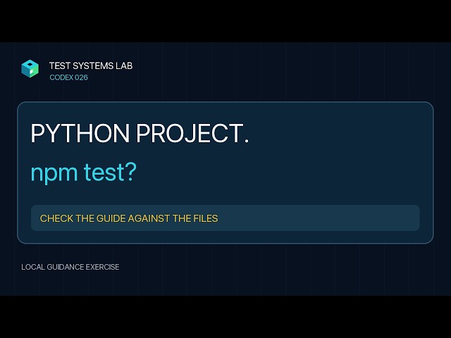 Python Project. Why Does This Guide Say npm Test?