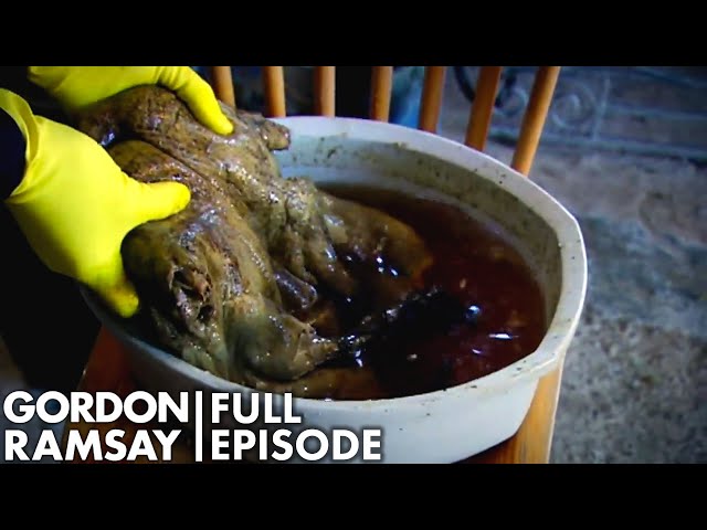 Gordon Ramsay Tries The Scottish Delicacy, Gannet  | The F Word FULL EPISODE