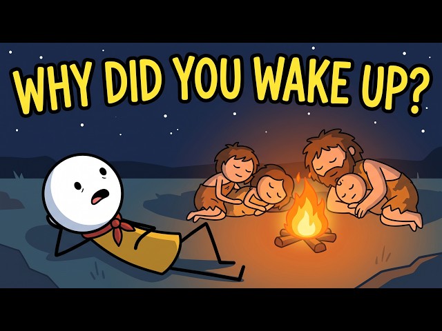 Waking at 2AM? Your Ancestors Did This Every Night