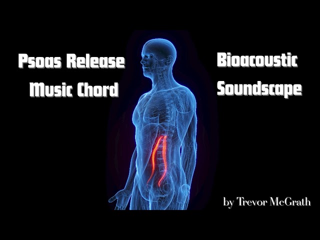 Psoas Release Music Chord - Bioacoustic Soundscape (Physical-Trauma Release Music)