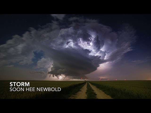 Storm - Soon Hee Newbold