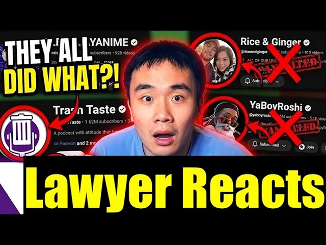Nicholas Light TV Youtube Strikes Explained by 13+ YR Copyright Lawyer