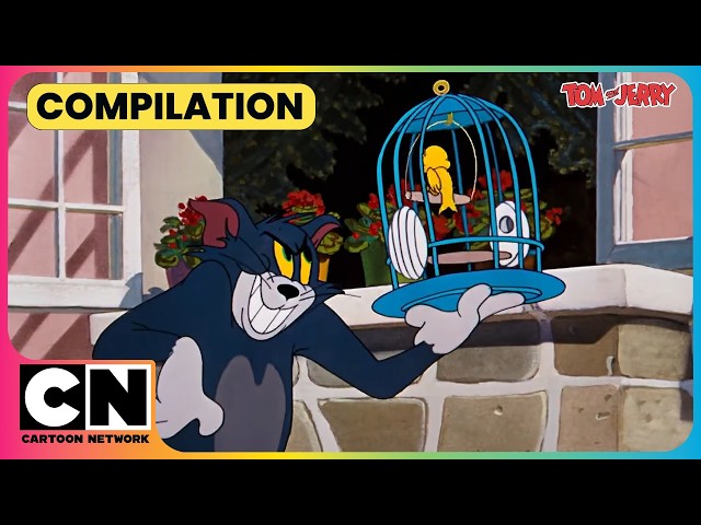 Tom’s Plot Against Tweety Is BUSTED!😼😱| Tom and Jerry🐭| Chases Special😂| Kids Cartoon​ | @cnindia​