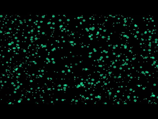 Swirling Bokeh Effect Particles Satisfying Bokeh Animation Loop