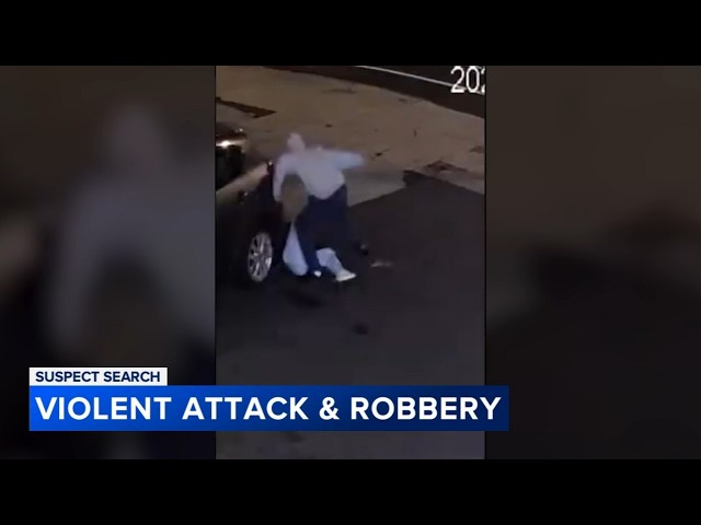 'Somebody help': Suspect wanted for violent attack, robbery of woman