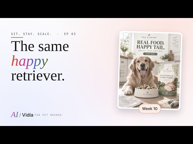Creative Fatigue in Pet Food Ads: What to Refresh | EP03