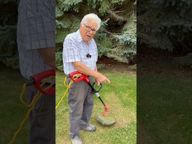 This Is How You Get Rid of Weeds