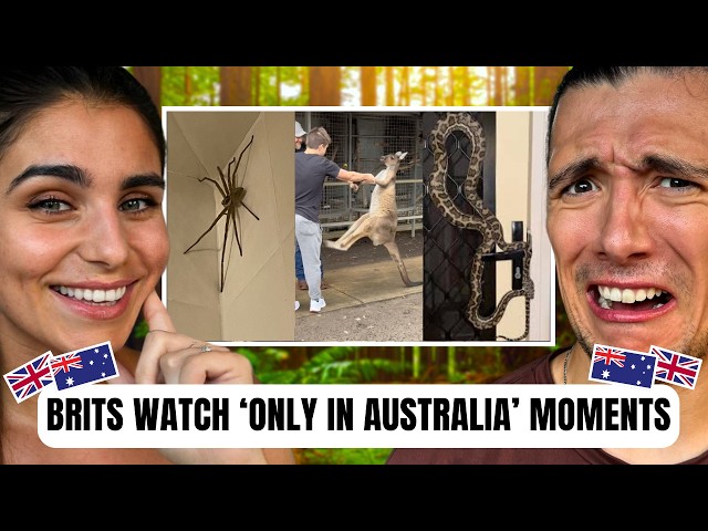 Two Brits React to Crazy ‘Only in Australia’ Clips! 🦘😱