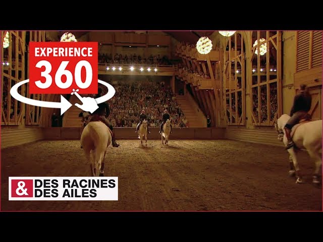 [Vidéo 360] L'Académie Équestre de Versailles comme si vous y étiez !