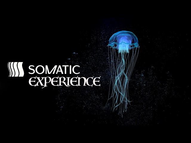 Fascial Sound Bath: Dissolve Somatic Memory Using Low Frequency Resonant Drone Tones