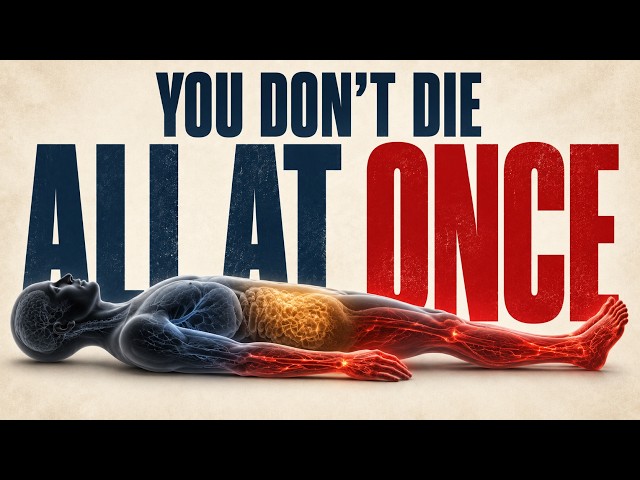 What Happens to Your Body After You Die