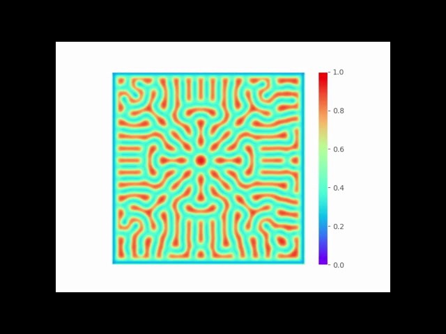 Turing Pattern Evolution