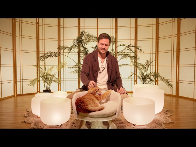 Purity Sound Bath