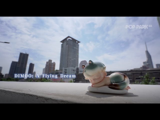DIMOO: A Flying Dream