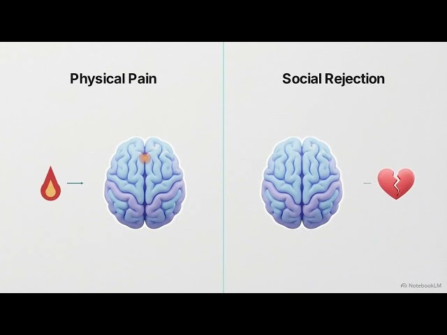 The Biology of Attachment: Why Breakups Hurt So Much