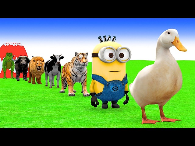 5 Giant Duck Cartoon,Cow,Elephant,Tiger,Lion,Dinosaur,Paint Wild Animals Crossing Fountain Animation