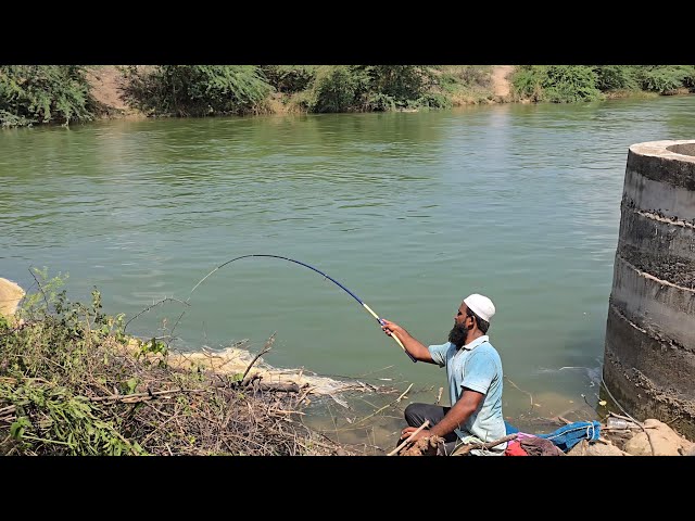🎣 EEL FISH ATTACK ON A SMALL HOOK | UNEXPECTED CATCH!"SMALL HOOK FISHING TECHNIQUE FOR BAAMFISHES 🌿