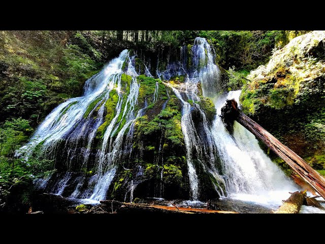 🌀 Immersive Forest Soundscape — Panther Creek Falls Washington (Relax & Sleep ASMR)