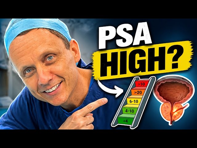 High PSA? Don't Panic: Follow This Roadmap