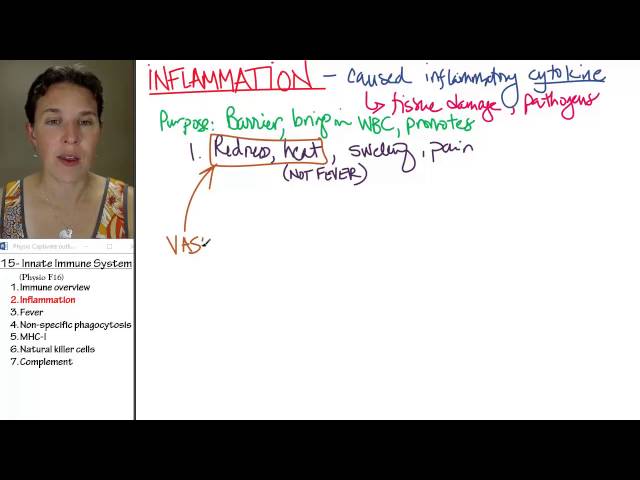 Innate immunity 2- Inflammation
