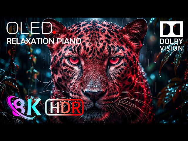 A True Masterpiece HDR 4K 120fps | Dolby Vision OLED TEST (8K Video/4K Video ULTRA HD)