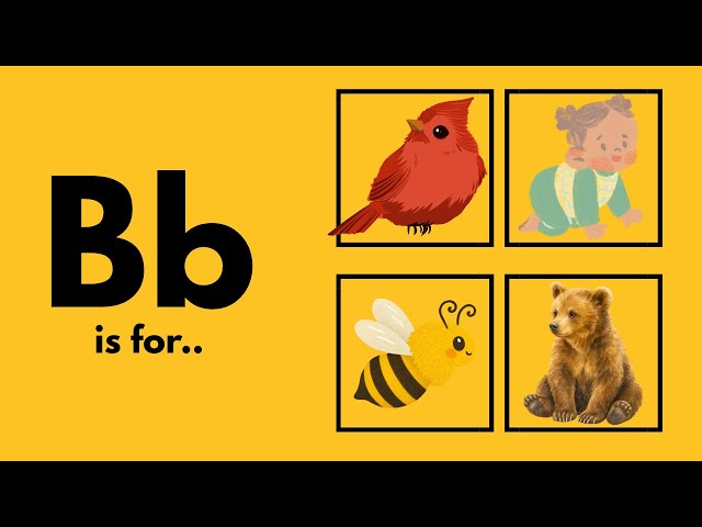 Learning the Letter B | ABC Flashcards