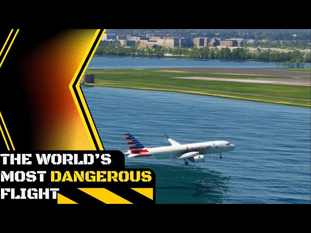 American Skies: The Virtual Pilot's Paradise - #0131