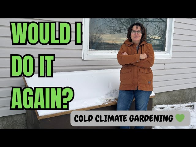 Cold Frame Gardening in Canada 🍁  Will I Do It Again Next Year?