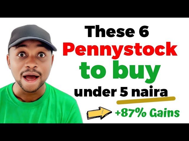 6 Penny Stocks That Can Make You Rich in 2026, Nigerian Stocks Exploding Right Now