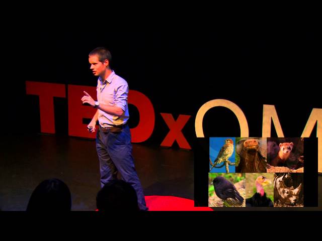 Is there hope for conservation? | James Borrell | TEDxQMUL