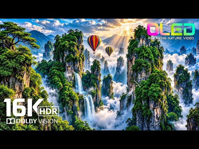Stress Relief 16K HDR Video | Dolby Vision 120 FPS | Stunning Nature Showcase | 4K/8K Video ULTRA HD