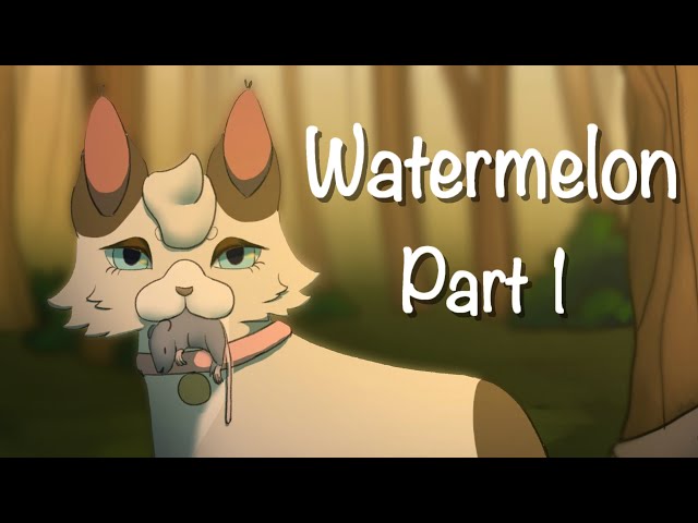 Watermelon | MAP Part 1