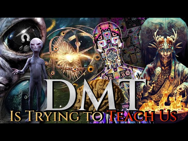Entities in Grey: Matter of Angels, Elves & Aliens | DMT Brain Science / Real Shamanism / Sacrifice