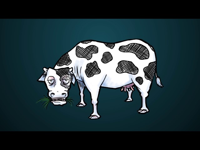 Metabolism Module 1 - Overview of Cellular Metabolism